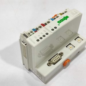 WAGO Analog Input Module 750-333