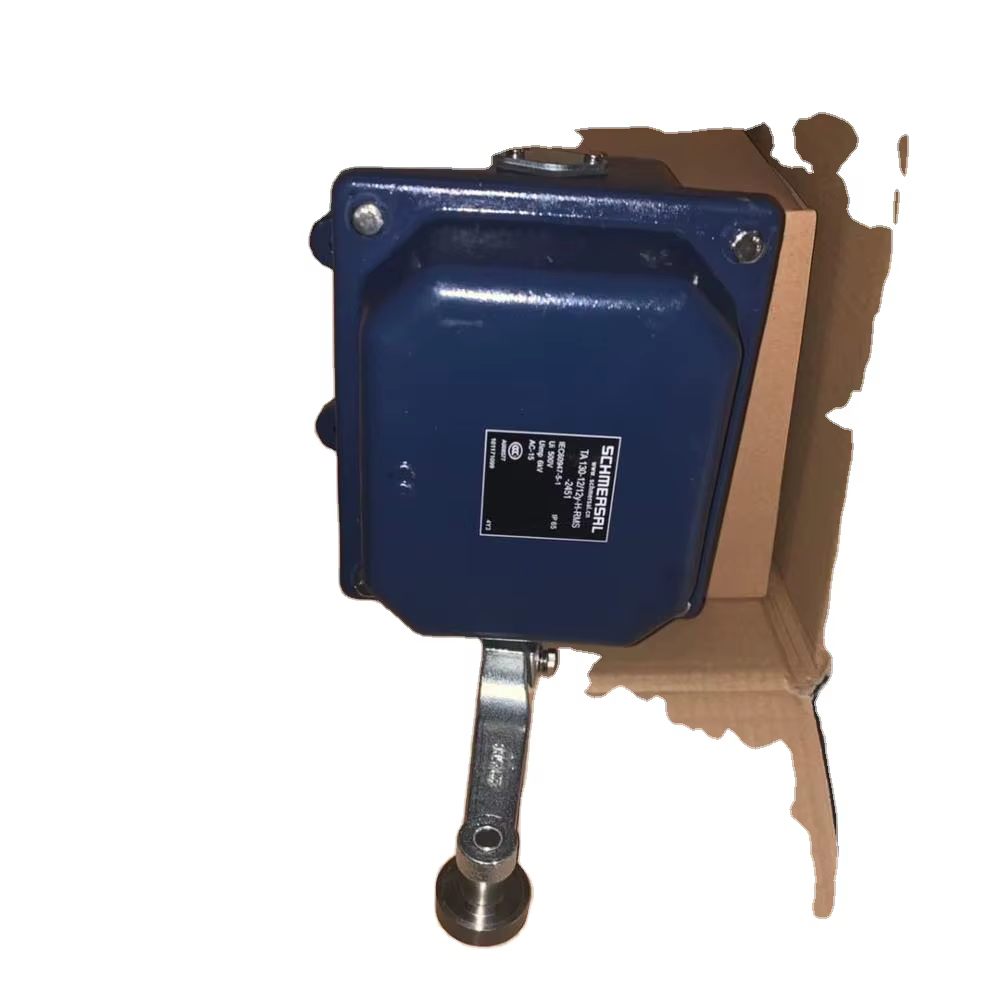 Schmersal TA130-12/12Y-H-RMS-2451 Installation